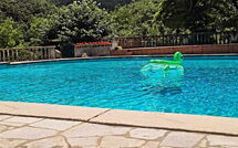 Foto ingestuurd door een gast van Villa Contessa