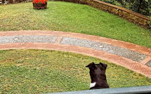 Foto ingestuurd door een gast van Villa Contessa