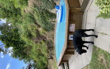 Foto ingestuurd door een gast van Casale di Cozzile