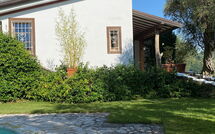 Foto ingestuurd door een gast van Villa Oliveta