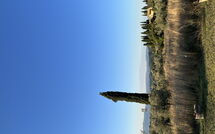 Foto ingestuurd door een gast van Pozzo dei Desideri