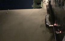 Foto ingestuurd door een gast van Casa Lionardo