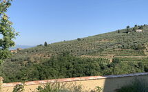 Foto ingestuurd door een gast van Casa Lionardo