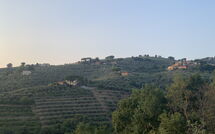 Foto ingestuurd door een gast van Casa Lionardo