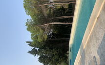 Foto ingestuurd door een gast van Nerodavola