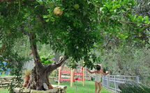 Foto ingestuurd door een gast van Villa Eftychia