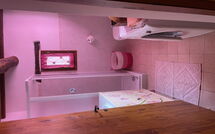 Foto ingestuurd door een gast van La Ruota