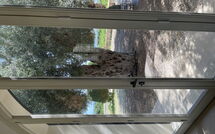 Foto ingestuurd door een gast van Tenuta Olearum