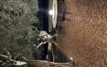 Foto ingestuurd door een gast van Tenuta Olearum