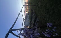 Foto ingestuurd door een gast van Il Sole di Vino