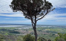 Foto ingestuurd door een gast van Casarosa di Mariasole