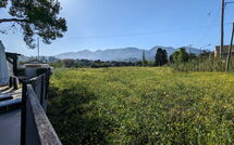 Foto ingestuurd door een gast van Beach Villa Christina