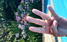 Foto ingestuurd door een gast van Votana House