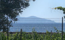 Foto ingestuurd door een gast van Villa Casale