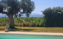 Foto ingestuurd door een gast van Villa Casale