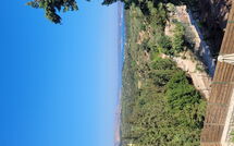 Foto ingestuurd door een gast van Villa Giorgos