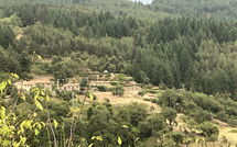 Foto ingestuurd door een gast van Villa Portole Due