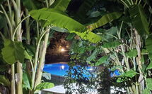 Foto ingestuurd door een gast van Klapas