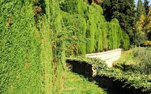 Foto ingestuurd door een gast van Montegufoni