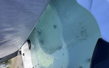 Foto ingestuurd door een gast van Casa Andrea