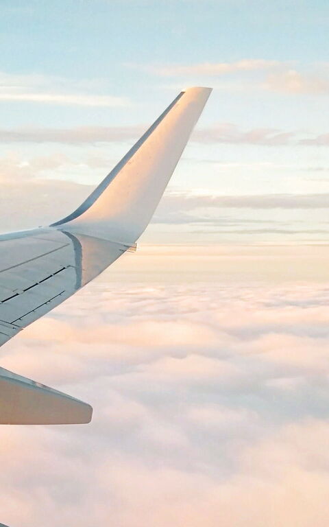 Lees onze Exclusieve Artikelen Over Reisadvies.